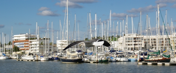 Lagos haven Algarve Portugal